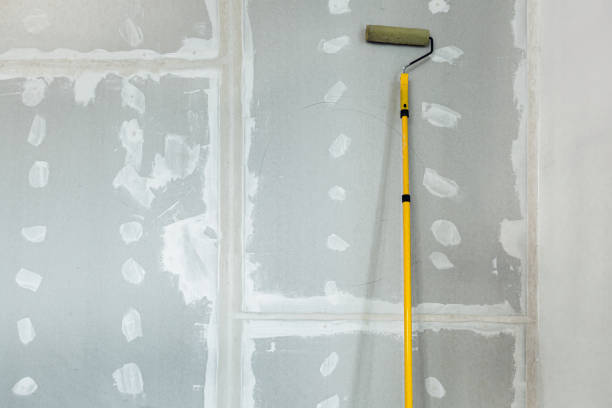Best Mold Remediation for Vacation Homes  in Niverville, NY