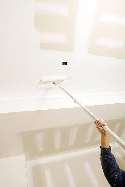 Best Airborne Mold Testing  in Niverville, NY