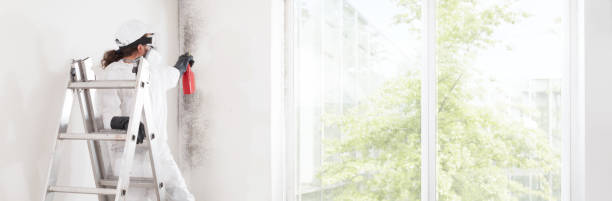 Best Forensic Mold Investigation  in Niverville, NY