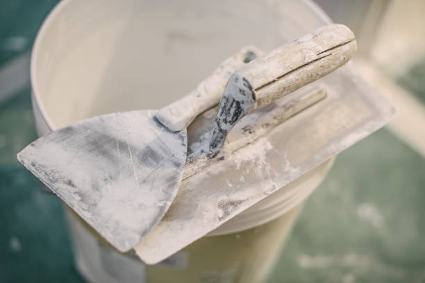 Best Emergency Mold Remediation  in Niverville, NY